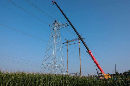 安陽供電公司 傾情服務重點民生工程，以人工裝卸服務答好災后重建電力答卷